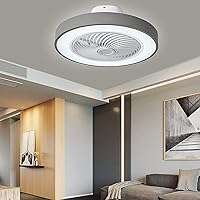 Ceiling Fan Lights with Remote Control Fan Light Dimmable Ceiling Fans with Lights and Remote for Bedrooms Ceiling Fans Withps Silent in Lighting 3 Speeds Timer/Gray