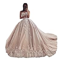 Champagne Sweetheart Neckline Lace up Corset Bridal Ball Gowns Train Wedding Dresses for Bride Plus Size