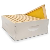 Mann Lake Hive Body Bundle, Assembled, 10-Frame, Painted, Beekeeping, Bee Box, Beekeeping Supplies, Harvest Honey, Includes 10 Assembled Frames w/Plastic Coated Foundation