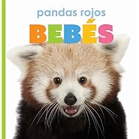 Pandas Rojos Bebés (El Principio de las) (Spanish Edition) Pandas Rojos Bebés (El Principio de las) (Spanish Edition) Library Binding Paperback