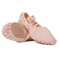 HROYL Ballet Shoes for Toddler Girls/Kids Split-Sole Ballet Dance Shoes,Elastic Fabric,Ballet-TLB