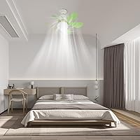 AVZYARDY Ceiling Fans with Lighting 30 W LED Ceiling Light Fan Light with Remote Control Dimmable Modern LED Fan Light for Living Room Lamp Bedroom 6 Blades Timing
