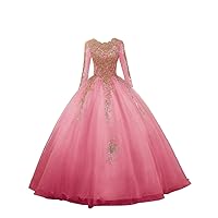 Prom Dress Long Tulle Off Evening Dress Special Occasion Dress