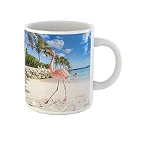 Coffee Mug Pink Caribbean Three Flamingos Beach Aruba Island Blue Exotic 11 Oz Ceramic Tea Cup Mugs Best Gift Or Souvenir For Family Friends Coworkers
