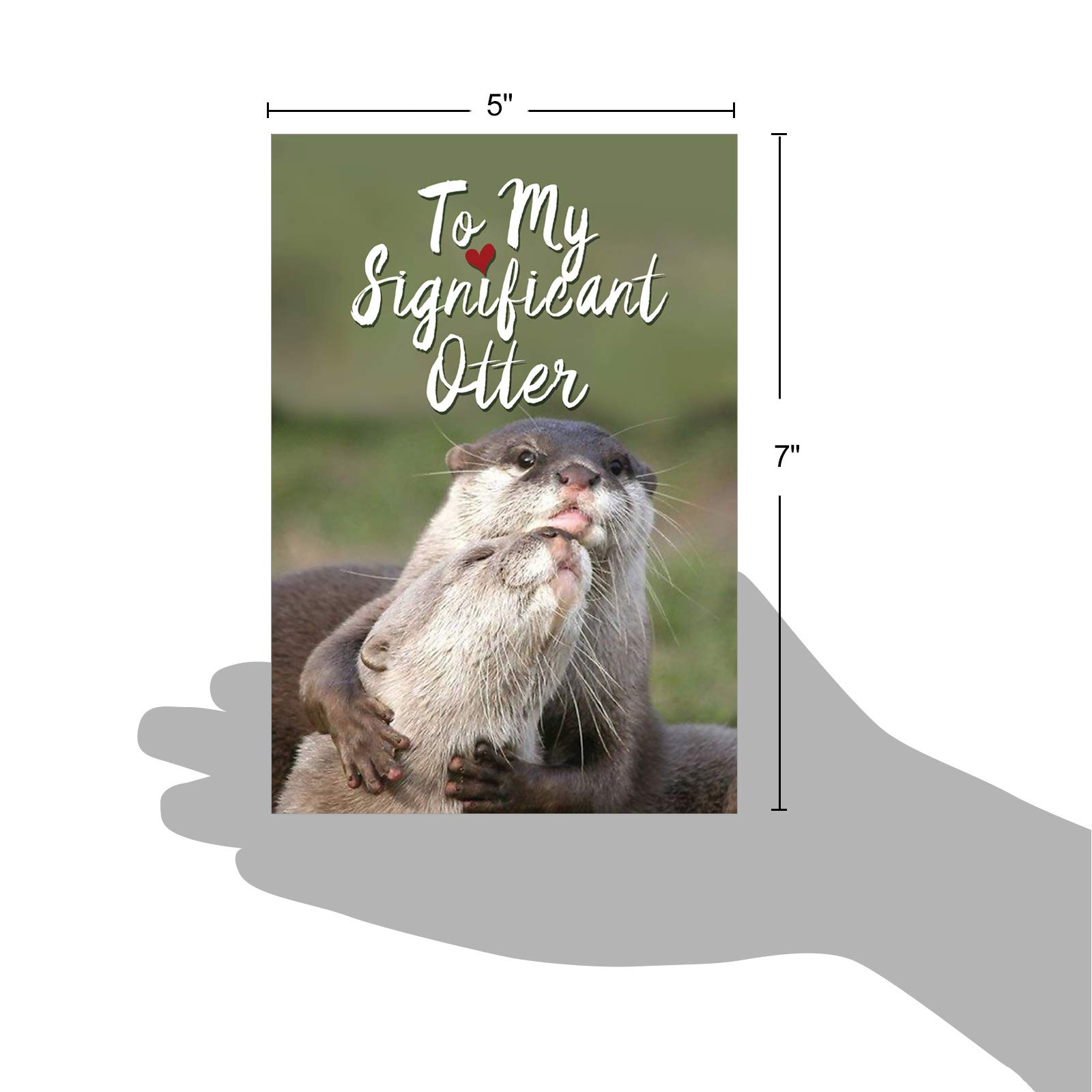 The Best Card Company - 1 Happy Birthday Greeting Card - Adorable Animals, Cute Bday Notecard with Envelope - Significant Otters C5528BDG