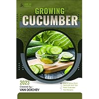 Cucumber: Guide and overview