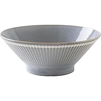 Minorutouki mino ware Albee Water-repellent Noodle Bowl Gray φ8.19×H3.15in 18.21oz Made in Japan