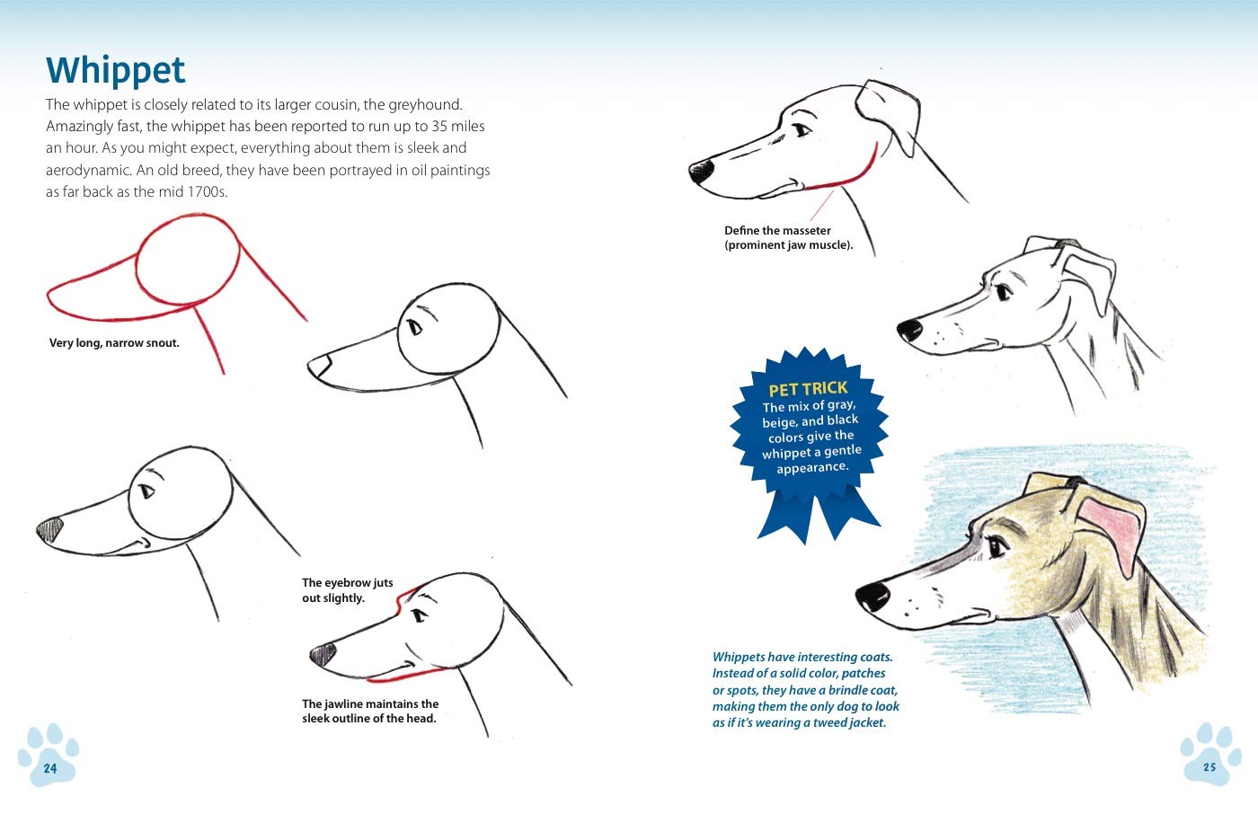 How to Draw Dogs & Cats from Simple Templates: The Drawing Book for Pet Lovers