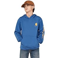 Carhartt Boys' Long-Sleeve Hooded Graphic Sweatshirt