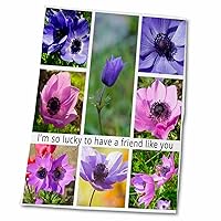 I Am So Lucky to Have A Friend Like You Anemone Photograph Collage - Towels (twl-347079-2)
