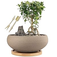 MUZHI Round Unglazed Ceramic Bonsai Pot with Bamboo Tray, Large Rough Pottery Succulent Planter with Drainage Hole 8 inch …