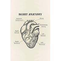 Human Heart Anatomical Graphic Illustration Educational Chart Cool Wall Decor Art Print Poster 24x36