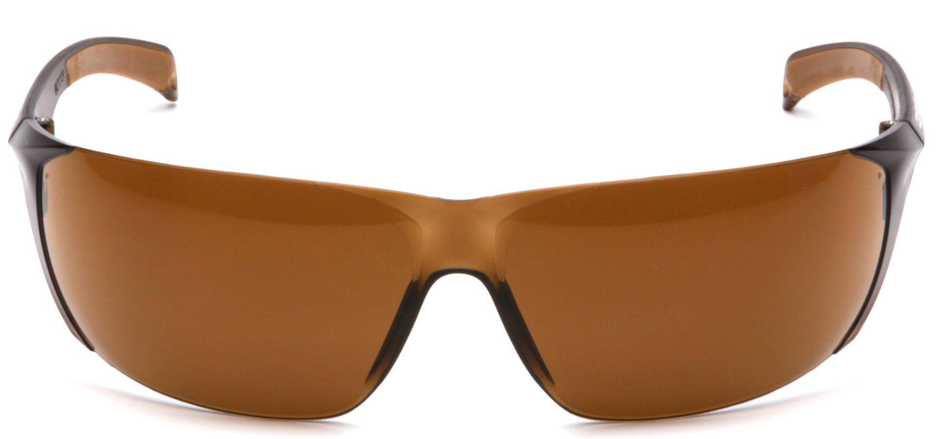 Carhartt Billings Safety Glasses