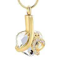 memorial jewelry Crystal Heart Shape Cremation Jewelry Memorial Urn Necklace for Ashes Stainless Steel Ash Holder Pendant Keepsake for Women