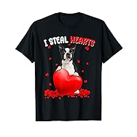 Boston Terrier Dog I Steal Hearts Cute Valentine Day Women T-Shirt
