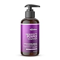 Perfect Purple Shampoo – Hair Toner – Removes Brassy & Unwanted Yellow Tones – For Silver, Gray, Blonde, Bleached & Highlighted Hair – Deeply Nourishing & Illuminating – 16oz