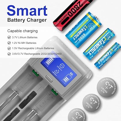 2450 Rechargeable Battery with Charger Smart Charging 3.7V Lithium Cells LIR2450 LIR2032 LIR2032H