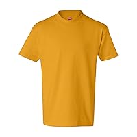 Hanes unisex-child Authentic Tagless Short-Sleeve T-Shirt
