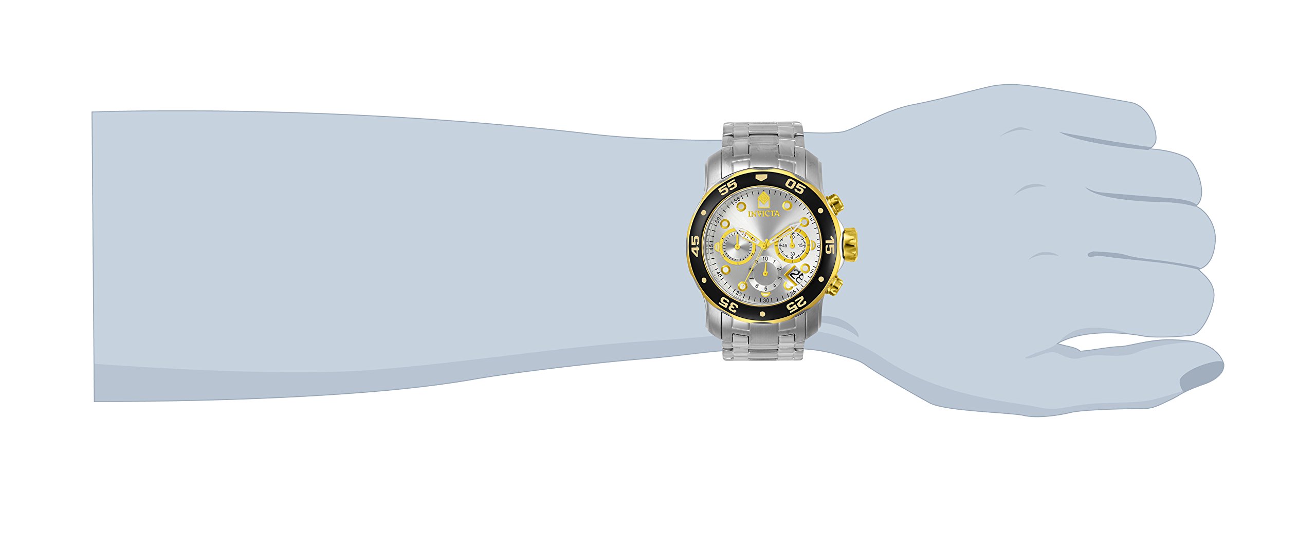 Invicta Men's 80040 Pro Diver Analog Display Swiss Quartz Silver Watch