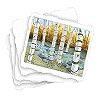 Shizen Design-SA-801 Punjab 100% Cotton Acid-Free Handmade Watercolor Paper, 90 lb, 9 X 12 in, Natural White, Pack of 25, Assorted Pearlescent Color