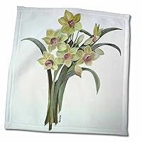 3dRose Artistic Orange Centered Narcissus Flowers Isolated on Grey - Towels (twl-333446-3)