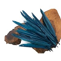 1 Pack - Teal Blue Duck Primary Wing Pointer Feathers 0.50 Oz. Craft Halloween Costume Carnival Supply | Moonlight Feather