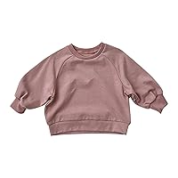 Clothes for Toddler Boys Basic Crewneck Pullover Sweatshirt Children's Solid Coat Kids Hoodies for Boys with