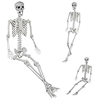 6Ft/185cm Halloween Skeleton - Life Size Full Body Realistic Human Bones with Posable Joints for Halloween Indoor/Outdoor Spooky Decoration (1, Gray-6ft/185cm)