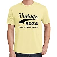 Men's Graphic T-Shirt Aged to Perfection 2034