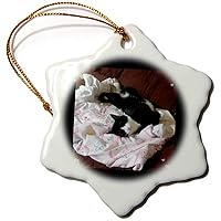 3dRose Cute Sleepy Black White Tux Cat on Couch Photo - Ornaments (orn-242429-1)