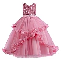 Pageant Party Dress for Girls Wedding Ceremony Kids Ball Gown Long Dresses Sequins Evening Frocks for Children