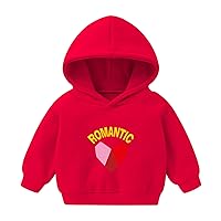 Baby Clothes Boy Hoodie Pullover Sweatershirt Newborn Long Sleeve Cartoon Print Tops Infant Fall Winter Clothes