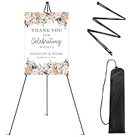 Basics Easel Stand, Instant Floor Poster, Lightweight, Collapsible  and Portable with Tripod Base, Black Steel(supports 5 pounds)