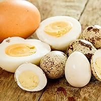 Fresh Quail Eggs from The Farm to Your Table - Laid in The USA - Hormone Free Raised by Local homesteaders (12)