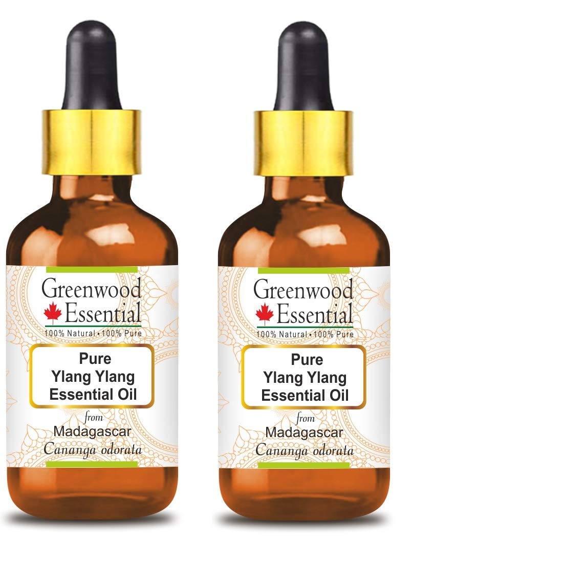 Greenwood Essential Pure Ylang Ylang Essential Oil (Cananga odorata) with Glass Dropper Steam Distilled (Pack of Two) 100ml X 2 (6.76 oz)