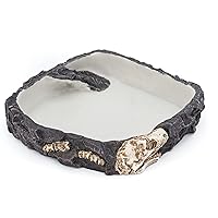PENN-PLAX Reptology Reptile Fossil Rock Food/Water Dish – Perfect for Bearded Dragons, Geckos, Chameleons, Snakes, Hermit Crabs, and Many More – Large
