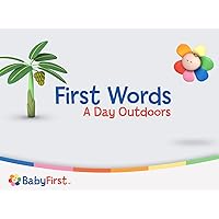 Baby Class: First Words, Numbers, Shapes and More