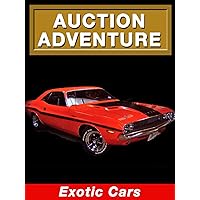 Auction Adventure: Exotic Cars