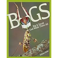 Bugs Big & Small God Made Them All Bugs Big & Small God Made Them All Hardcover Kindle