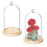 2 Pack Cloche Glass Dome, 8'' x 5'' Glass Dome Cloche with Rustic Wooden Base, Glass Cloche Bell Jar Display for Plants, Fairy Lights or Table Decor