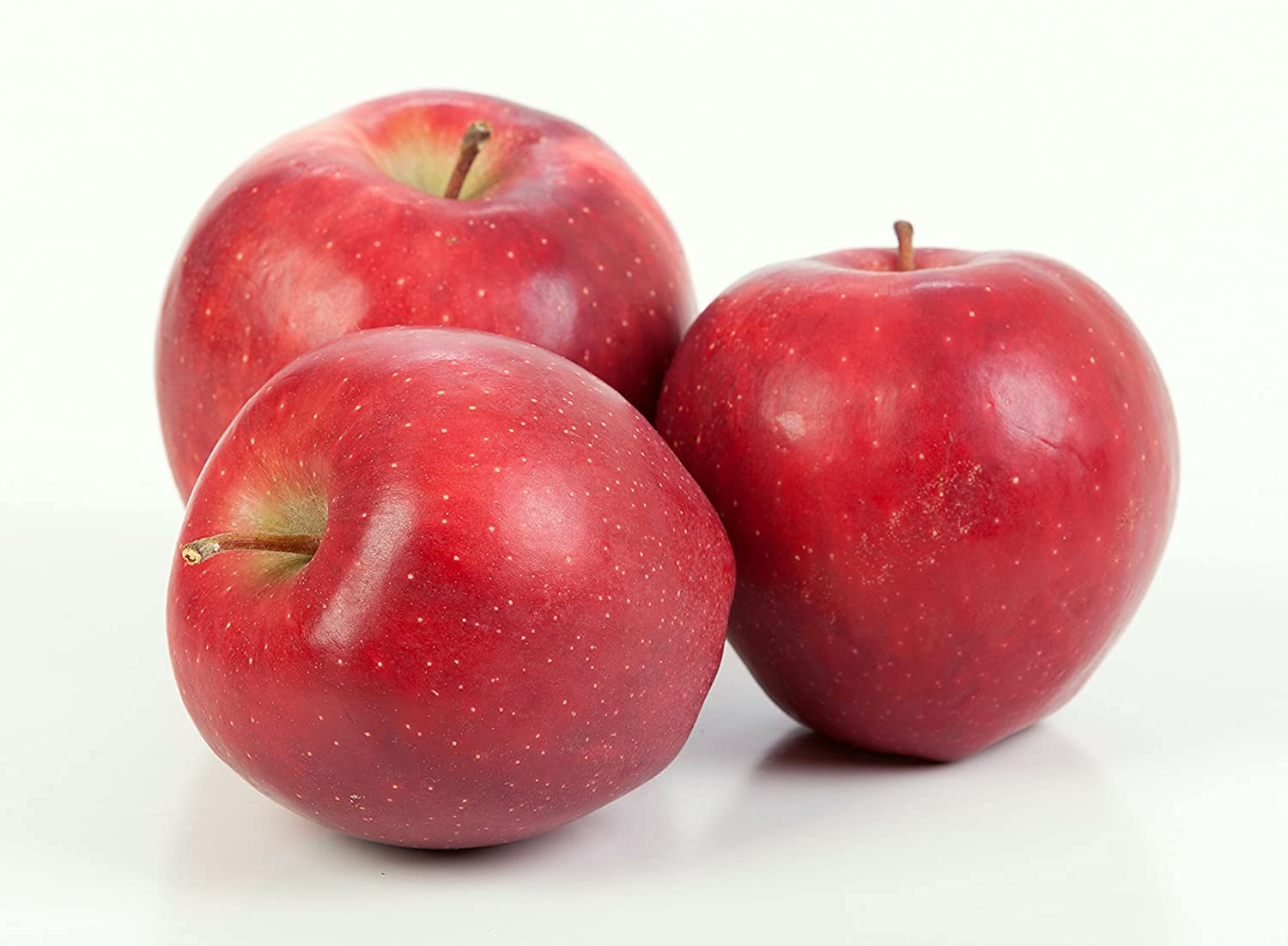 Kauffman Orchards Fresh-Picked Red Delicious Apples (Box of 16)