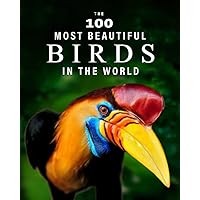 The 100 Most Beautiful Birds in the World: A minimalist picture book for kids or seniors with alzheimer's or dementia (The 