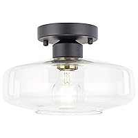 Ceiling Light Fixture with Clear Glass Shade,Matte Black Flush Mount Ceiling Light for Hallway, Entryway,Living Room, Bedroom, Bathroom,Closet