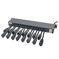 TRIPP LITE PS1916D1U 120V 16 Outlet 1U Rack-Mount AC, 15' Cord 15A Charger Power Strip, Black