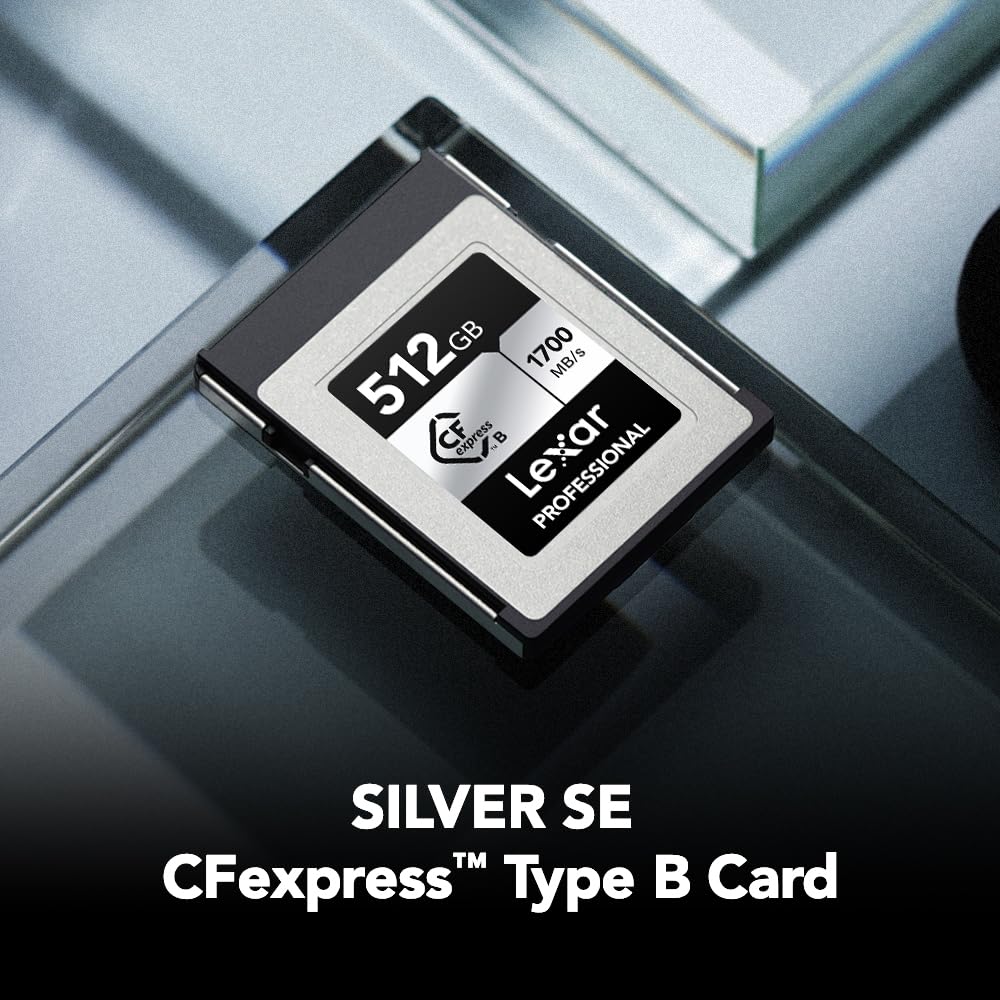 Lexar 512GB Professional Silver SE CFexpress Type B Memory Card, for Photographers, Videographers, Up to 1700/1250 MB/s, 8K Video (LCXEXSE512G-RNENU)