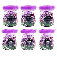 6 Fresh Lilac Scent Odor Eliminator Gel Beads Air Freshener Eliminates Odor 14oz Long Lasting 45 Days in Bathrooms Cars Boats RVs Pet Areas Made with Essential Oils 14 Ounce 6 Pack