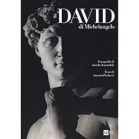 Il David di Michelangelo Il David di Michelangelo Hardcover Paperback
