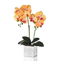 Artificial Potted Orchid Faux Phalaenopsis Silk Flowers Bonsai Realistic Arrangement in Silver Vase for Home Decoration Table Centerpiece, Orange