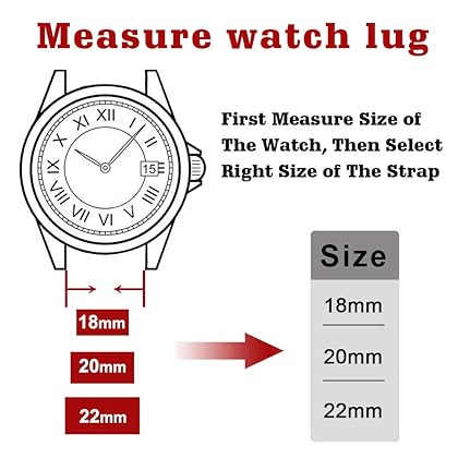 Ritche Quick Release Leather Watch Bands Genuine Leather Watch Strap 18mm, 20mm or 22mm for Men and Women