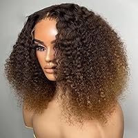 Ombre Curly Highlight Color 1B/30 Colored 13X6 Lace Front Wig HD Transparent Lace Front Human Hair Wigs for Women Short Bob Human Hair Wig 150% Density Preplucked Glueless Wigs Brazilian Remy 14 Inch